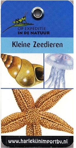 Harlequin Expeditionsbuch: Kleine Meerestiere (6 Stück)